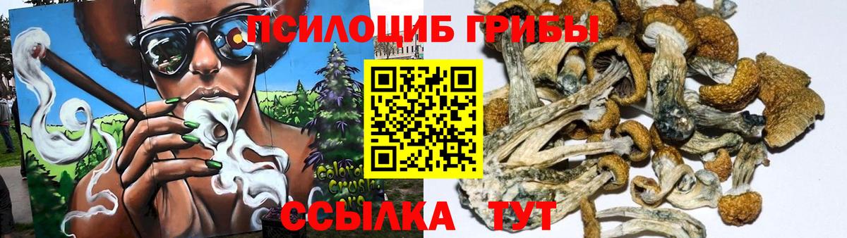 Галлюциногенные грибы мицелий Дзержинск